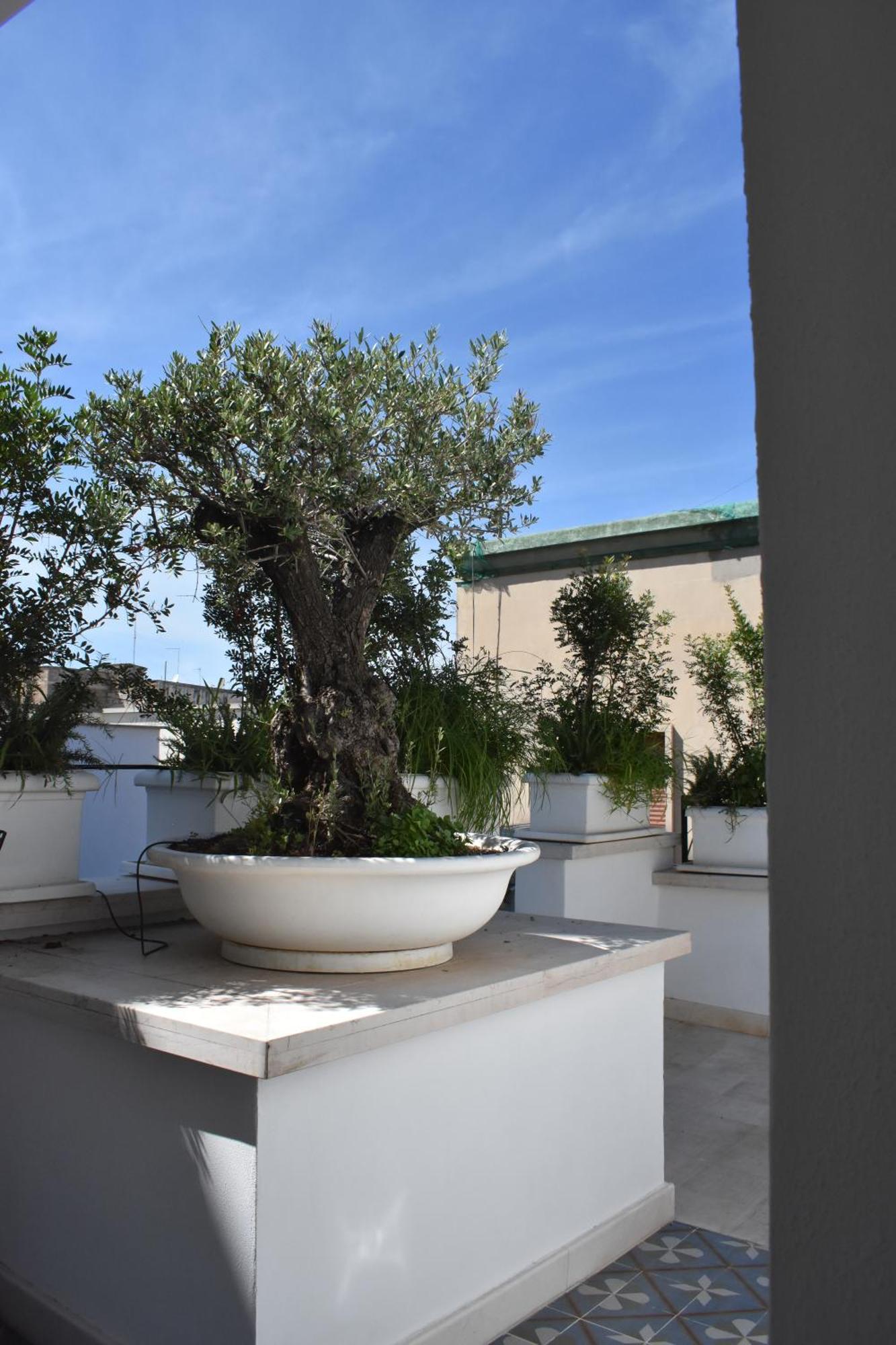 Saint Barth Guest House - Charming Rooms In Bari Exterior foto